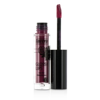Glossy Lips - # 06 Berry Passion
